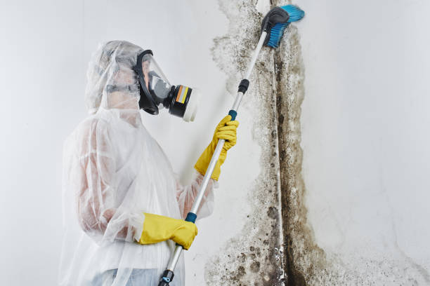 Mold Remediation for Vacation Homes in Crooked River Ranch, OR